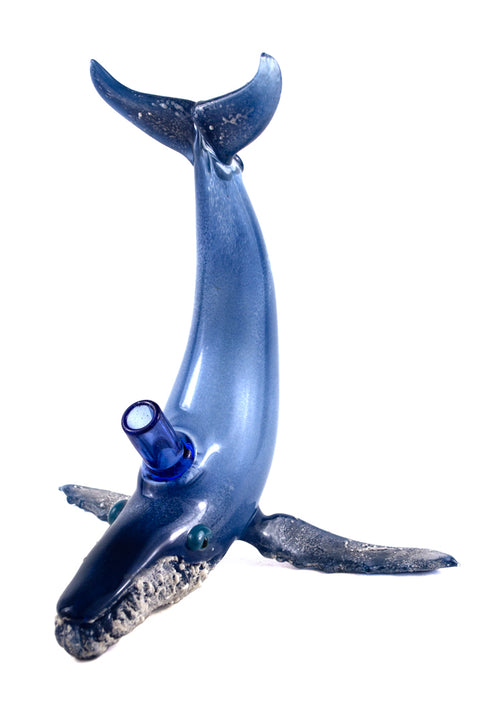 Chadd Lacy | Blue Whale Rig