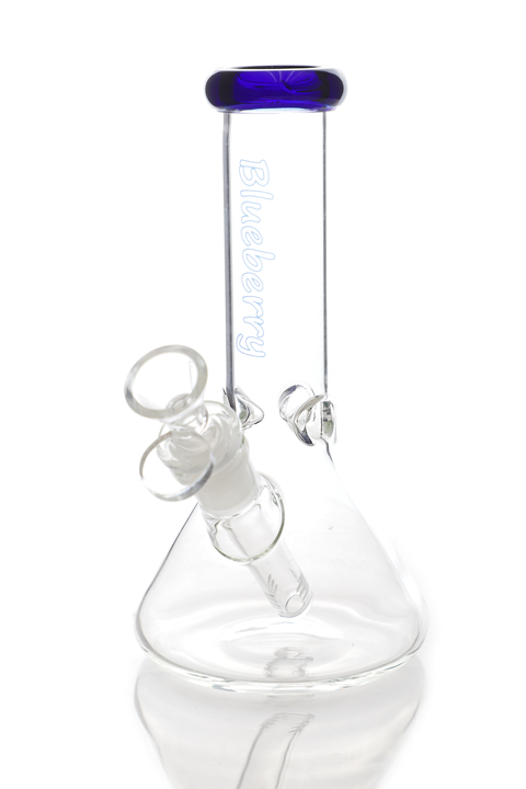 Blueberry | 8" Beaker