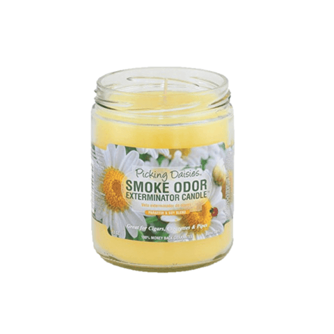 Picking Daisies | Smoke Odor Exterminator Candle - Peace Pipe 420